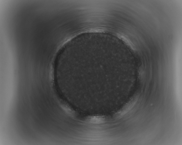 X0000111420303200907201053