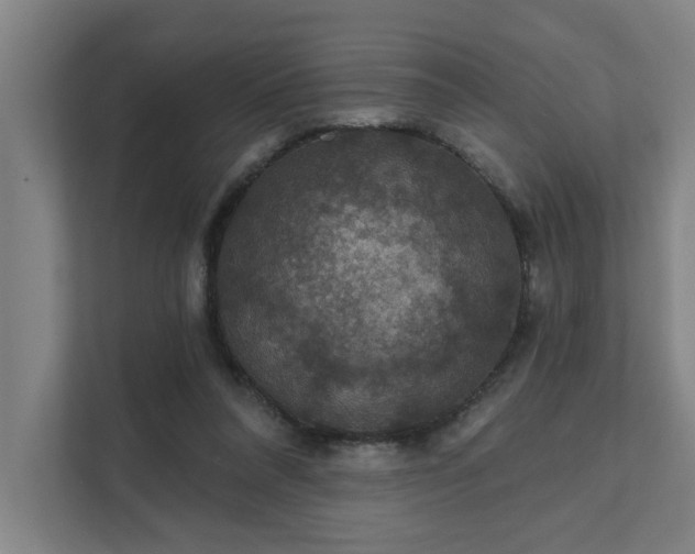 X0000111420304200907201053