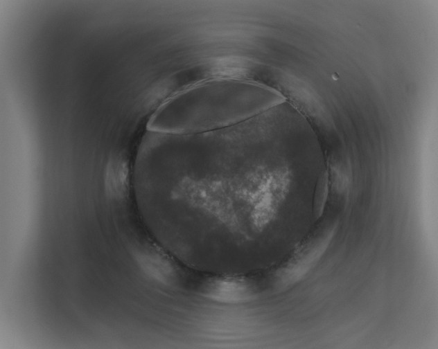 X0000111420308200907201053