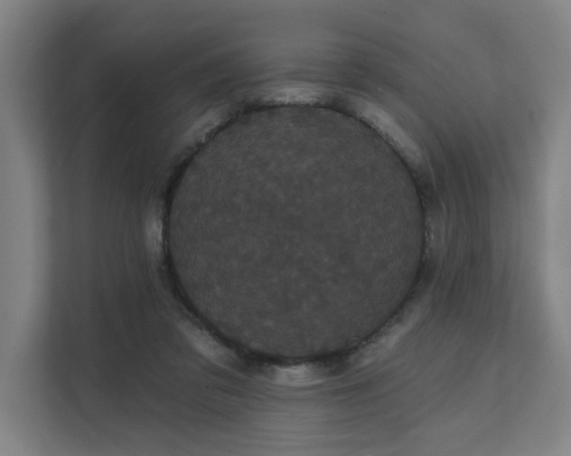 X0000111420309200907201053