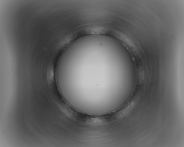 X0000111420310200907201053