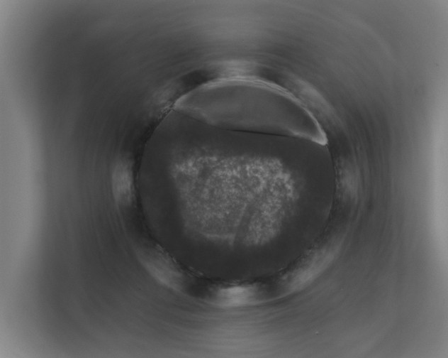 X0000111420312200907201053