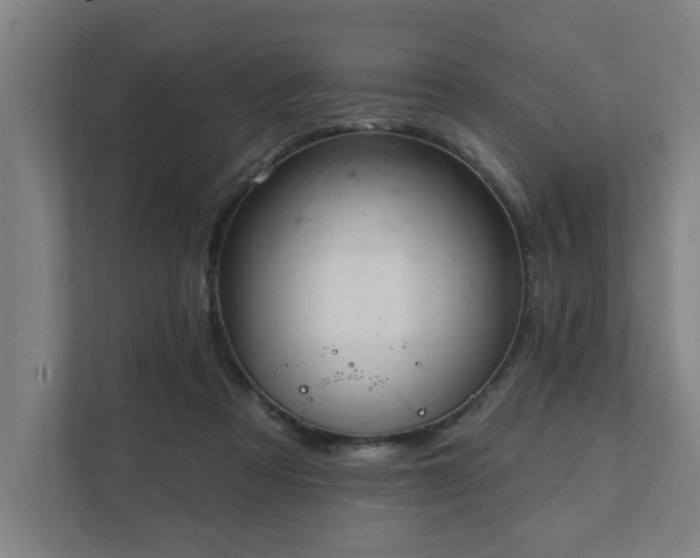 X0000111420313200907201053