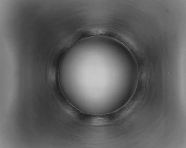 X0000111420315200907201053