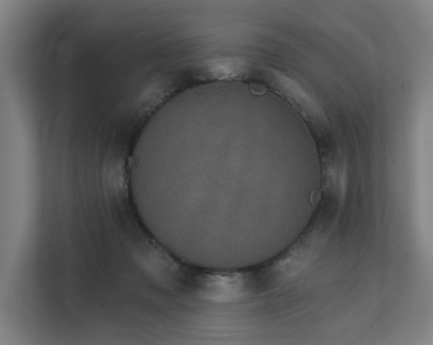 X0000111420317200907201053