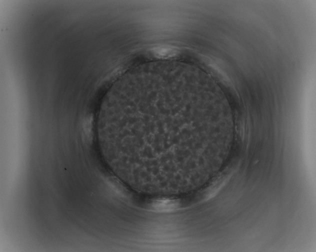 X0000111420319200907201053