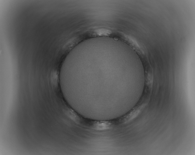 X0000111420321200907201053