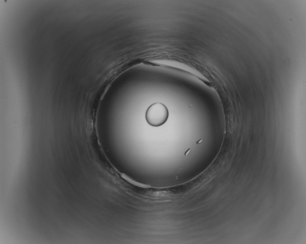 X0000111420324200907201053