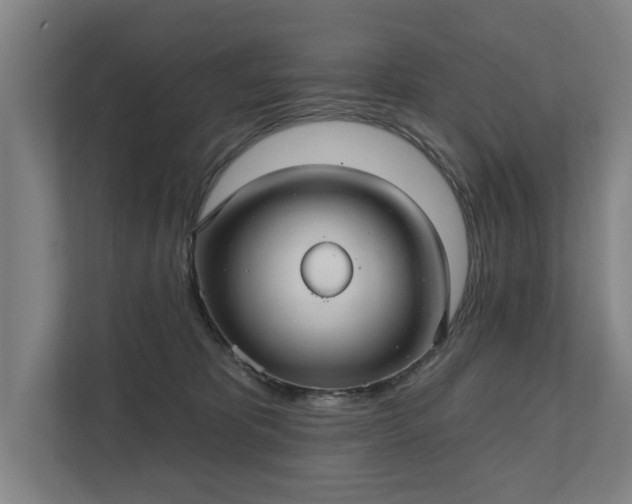 X0000111420325200907201053