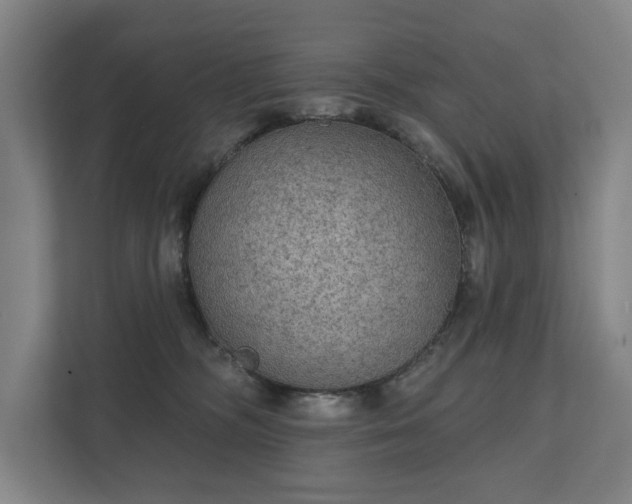 X0000111420326200907201053