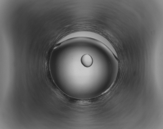 X0000111420327200907201053