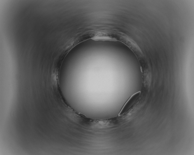 X0000111420329200907201053