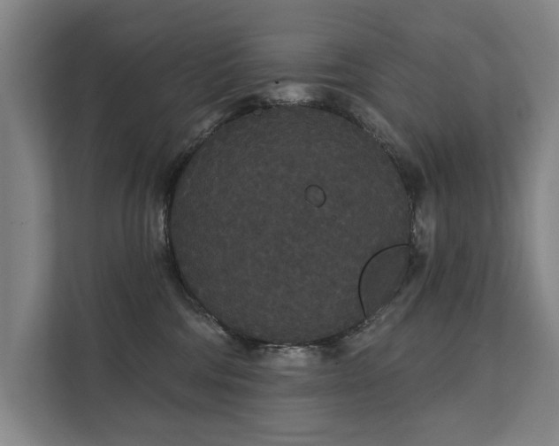 X0000111420330200907201053