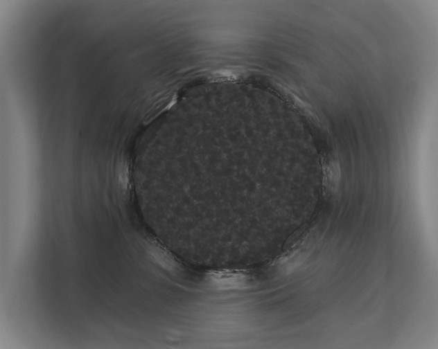 X0000111420331200907201053