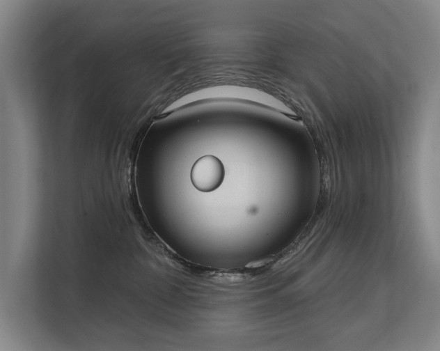 X0000111420332200907201053