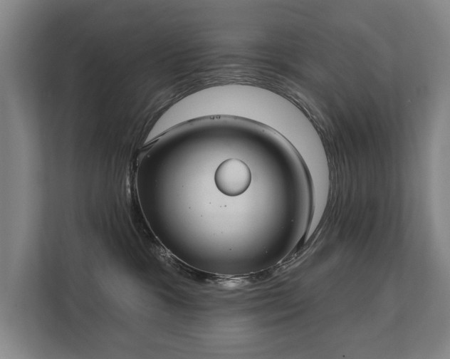 X0000111420333200907201053