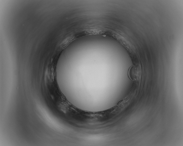 X0000111420334200907201053