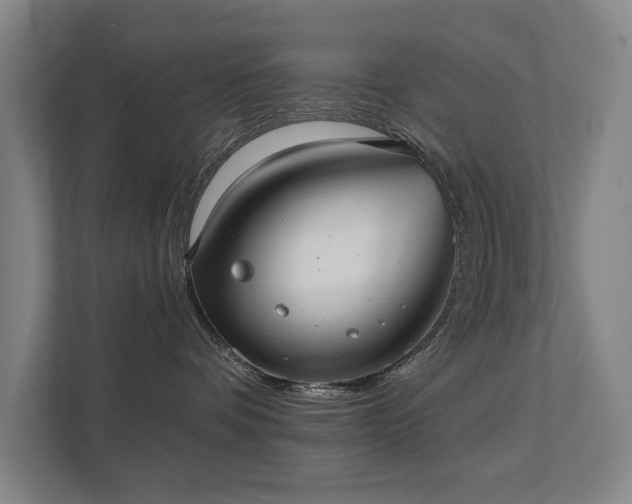 X0000111420336200907201053