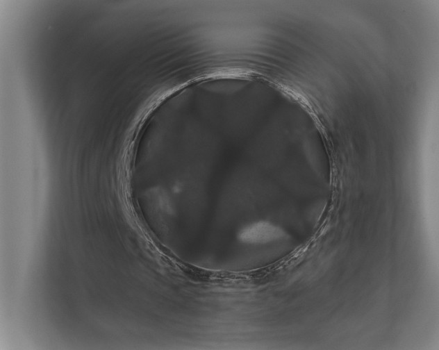 X0000111420337200907201052