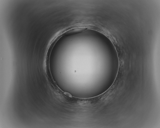 X0000111420340200907201052