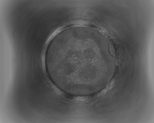 X0000111420341200907201052