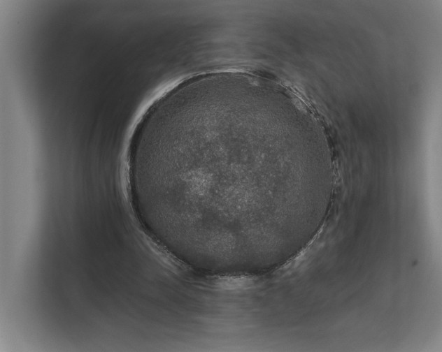 X0000111420342200907201052