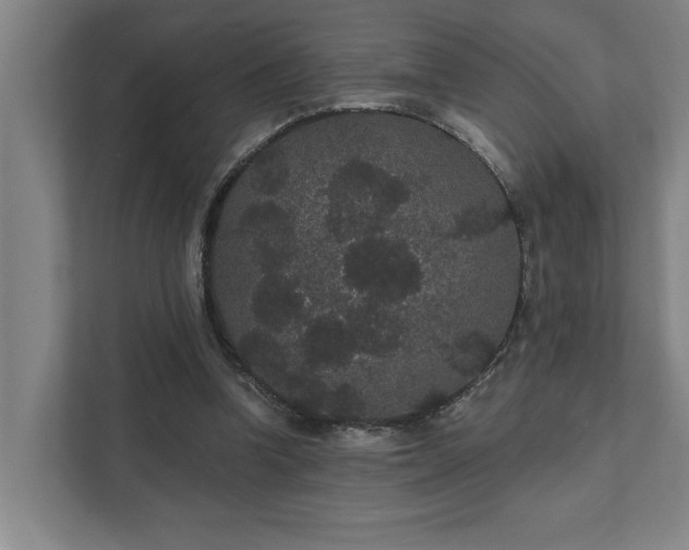 X0000111420346200907201052