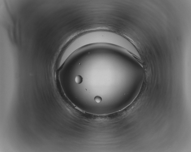 X0000111420350200907201052