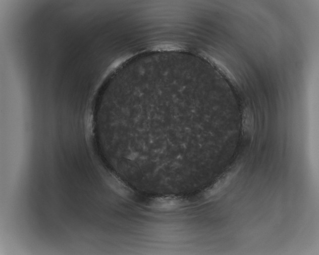 X0000111420351200907201052