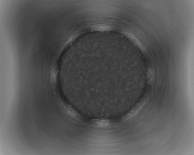 X0000111420355200907201052