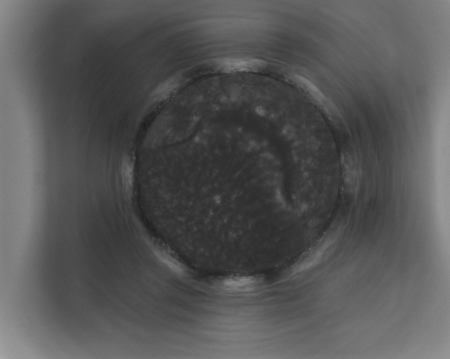 X0000111420357200907201052