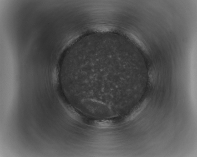 X0000111420359200907201052