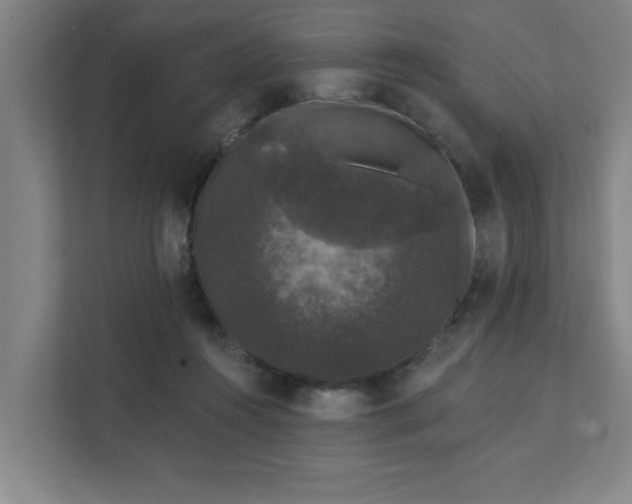 X0000111420360200907201052