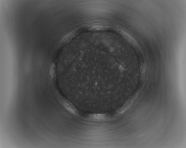 X0000111420361200907201052