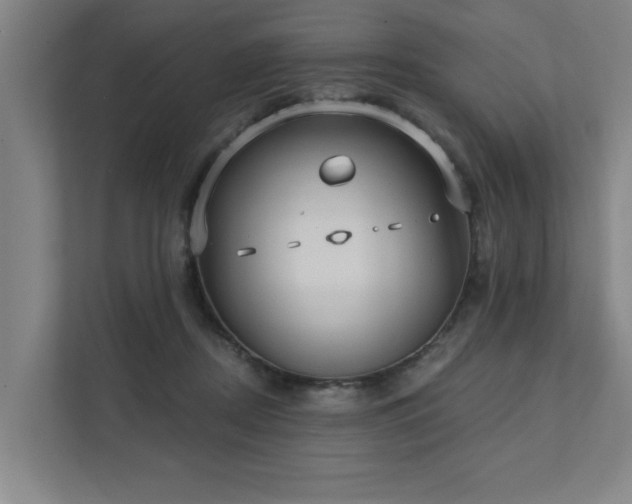 X0000111420362200907201052