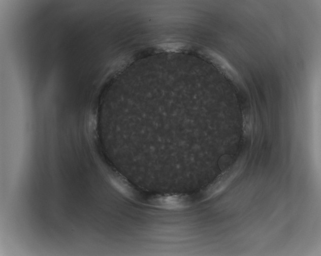 X0000111420365200907201052