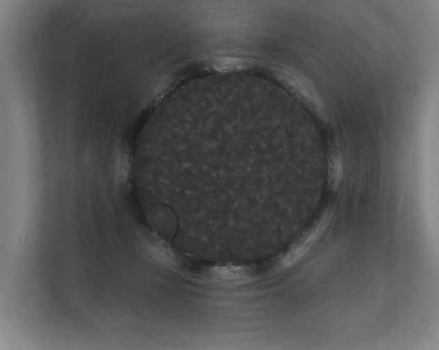 X0000111420367200907201052