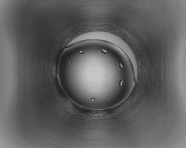 X0000111420368200907201052