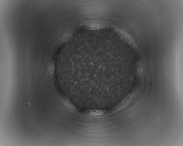 X0000111420369200907201052