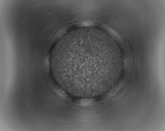 X0000111420373200907201053