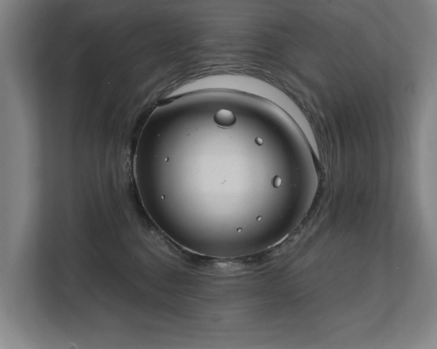 X0000111420376200907201053