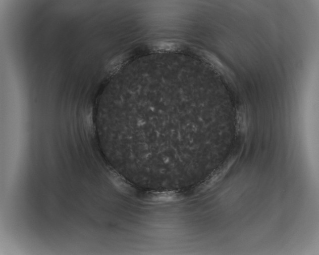 X0000111420377200907201053