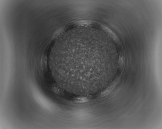 X0000111420381200907201053