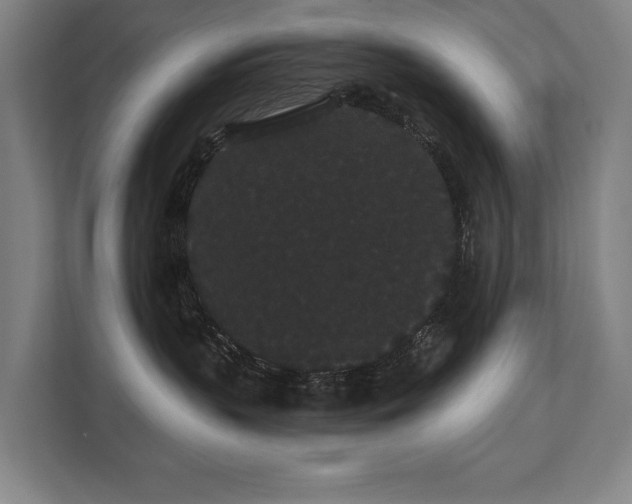 X0000111420383200907201053