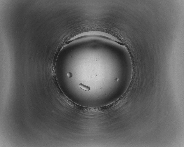 X0000111420384200907201053