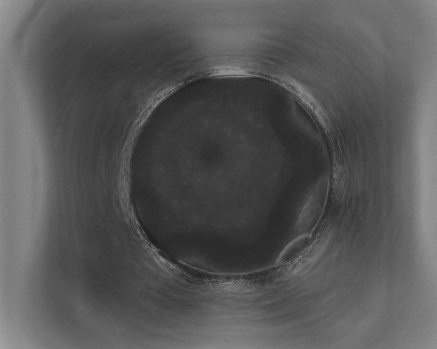 X0000111420385200907201052