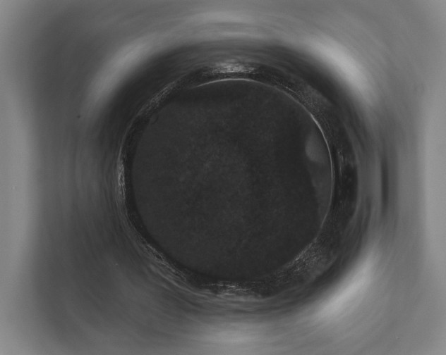 X0000111420387200907201052