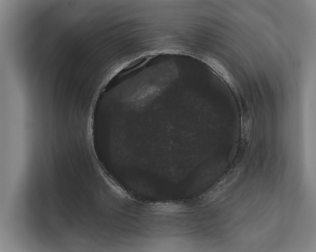 X0000111420389200907201052