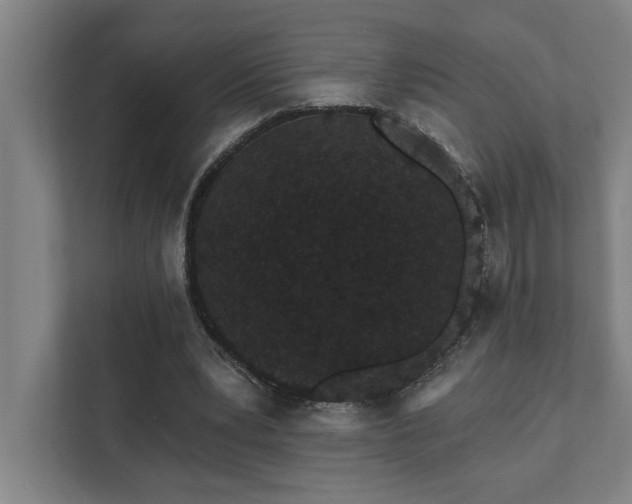 X0000111420391200907201052