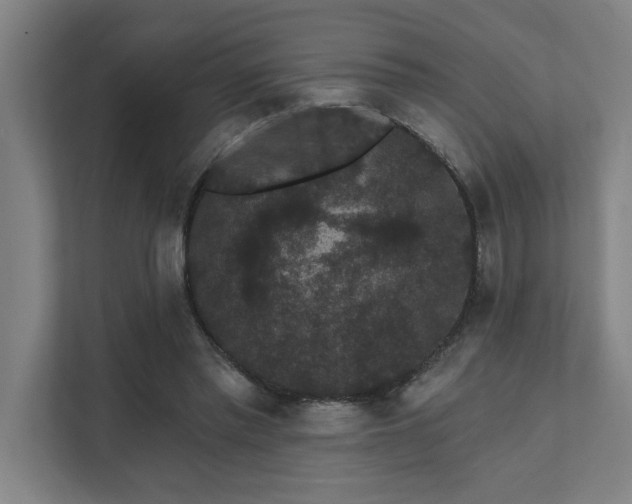 X0000111420397200907201052